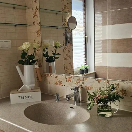 Nyirjes 4* Balassagyarmat