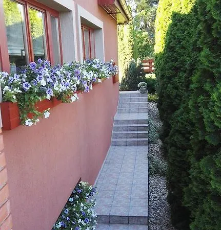 Nyirjes 4* Balassagyarmat