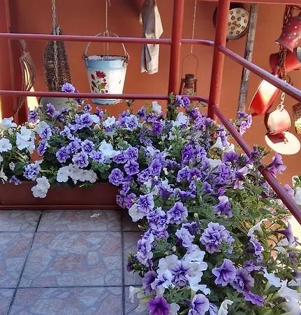 Casa de hóspedes Nyirjes