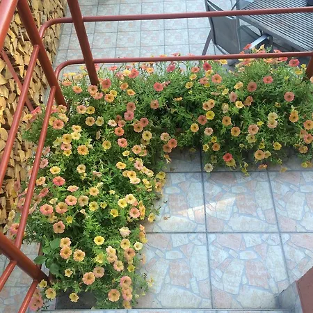 Nyirjes Balassagyarmat