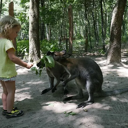 Nyirjes Balassagyarmat