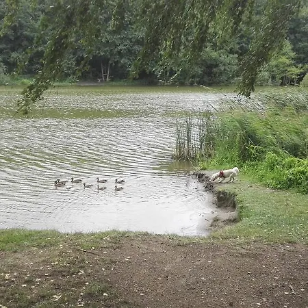 Nyirjes 4* Balassagyarmat