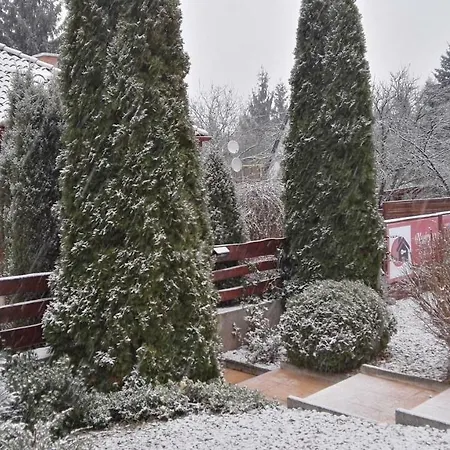 Nyirjes Vendeghaz 게스트하우스