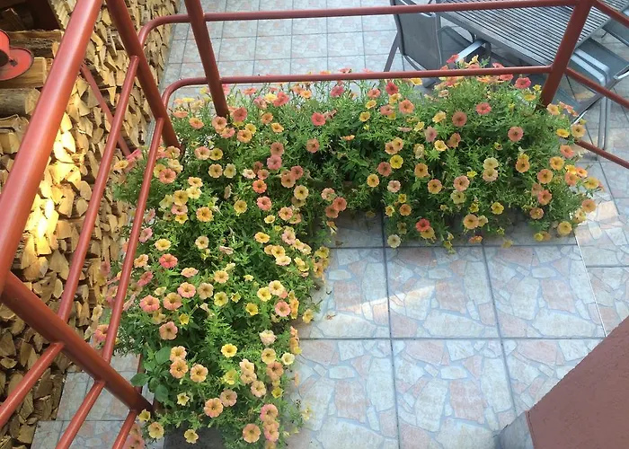 Nyirjes Vendeghaz Balassagyarmat